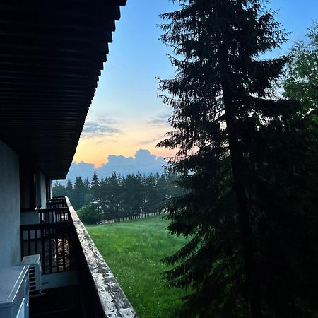 Apartment 2305 Hotel Alpin 波亚纳布拉索夫 外观 照片