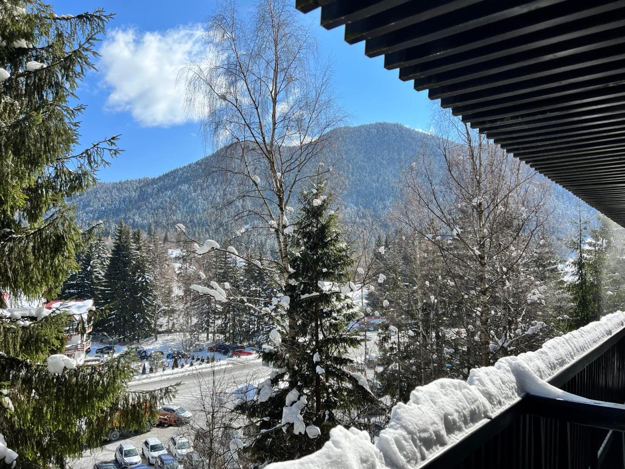 Apartment 2305 Hotel Alpin 波亚纳布拉索夫 外观 照片